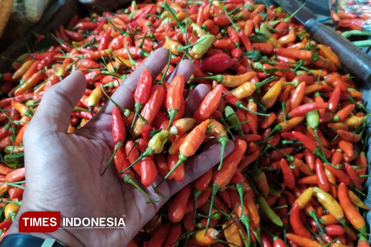 Sempat Tembus Rp40 Ribu, Kini Harga Cabai di Rembang Mulai Turun